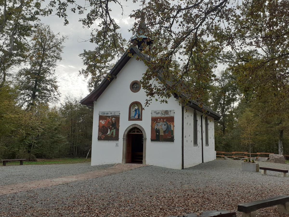 A L'Oree Du Bois Les Bouleaux Guewenheim Exterior photo